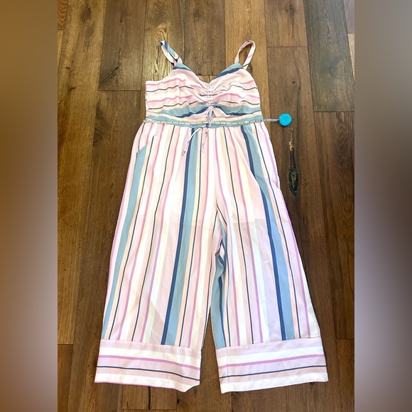 Pink Striped Jumpsuit - Picture 2 of 5